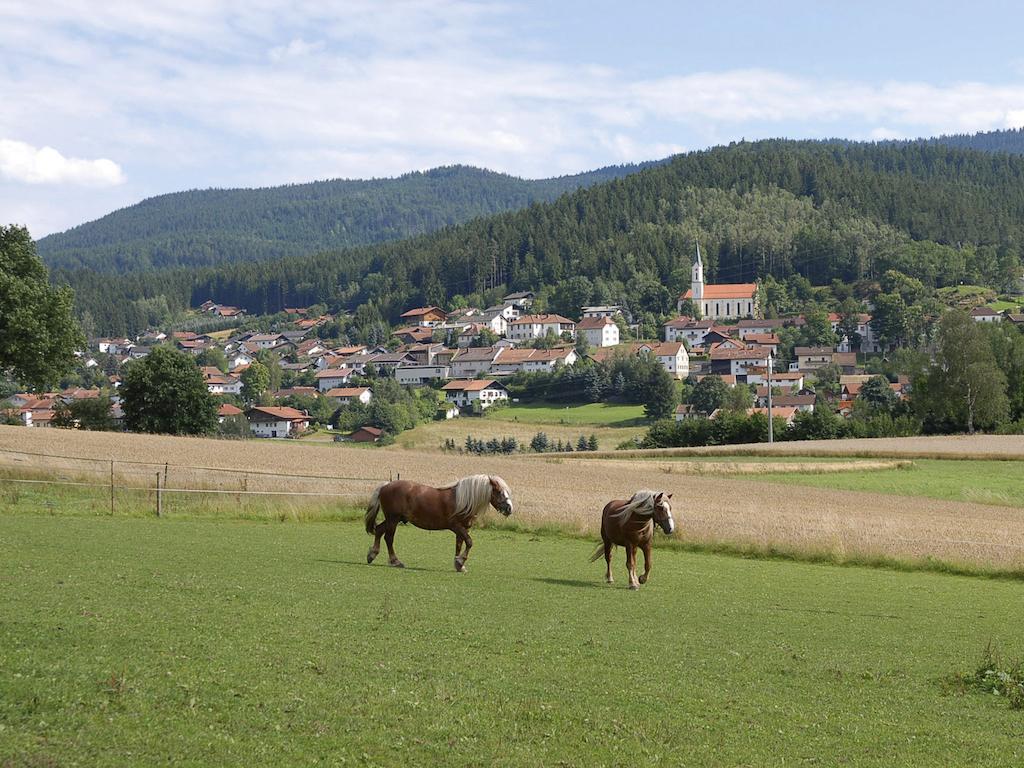 Pension Weiss Hohenwarth Exteriör bild